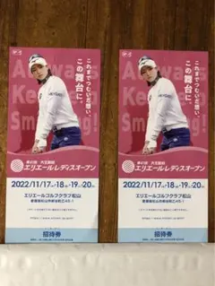 第41回 大王製紙 エリエールレディスオープン 2枚