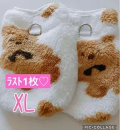 Item thumbnail for item 328d67f5-1c98-479e-babf-d66736256304