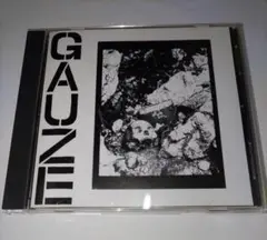 ★GAUZE / EQUALIZING DISTORT CD★