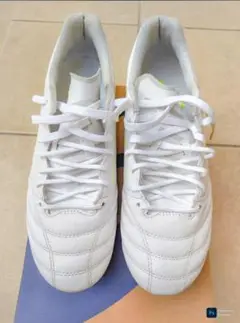 DS LIGHT X-FLY 5