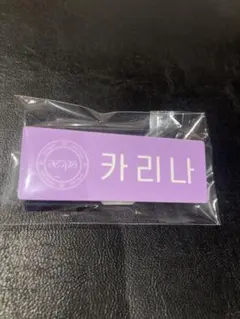 SMTOWN LIVE 2025 グッズ　ネームバッジ　カリナ
