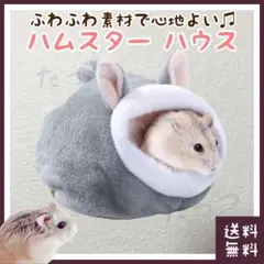 Item thumbnail for item 24606a3b-f662-4441-aa3b-57be3734bf3c