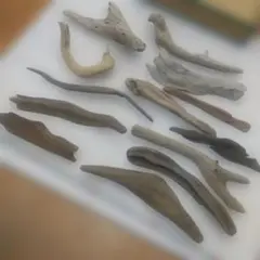 Item thumbnail for item d58ad487-574e-4831-b0bf-e1c8f5800e58