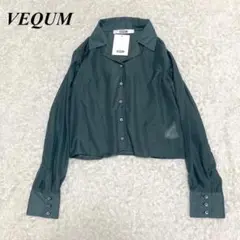 タグ付き未使用品 VEQUM 長袖シャツ シアー フリーサイズ グリーン □