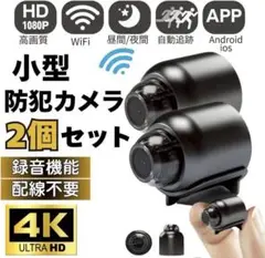 Item thumbnail for item 7a020091-cc30-4a85-bbef-7ebffd4afe81