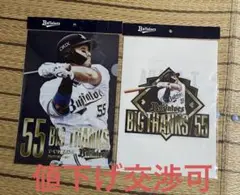 バファローズT-岡田選手引退記念クリアファイル(BIG THANKSとロゴ)