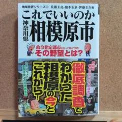 これでいいのか相模原市