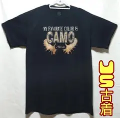 Tシャツ　フルーツオブザルーム　サイズL　US古着　複数購入値引き