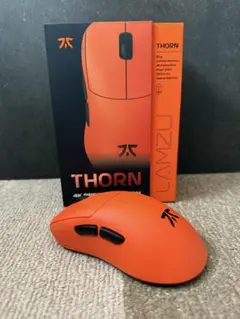Fnatic x LAMZU THORN