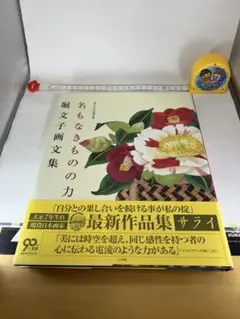 堀文子画文集 名もなきものの力