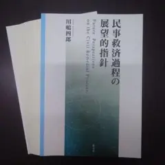 【裁断済・ハードカバーなし】民事救済過程の展望的指針