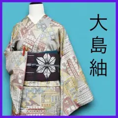M2507★ 着物淡雪 ★正絹★大島紬　色大島　ポップなコプト文様の織り出し模様