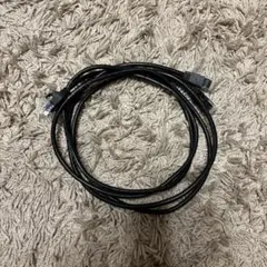 LANケーブル　約1m×2本