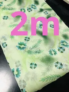 緑シフォン生地