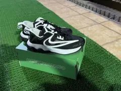 NIKE ヤニス イモータリティ DZ7534-003