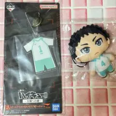 ハイキュー！！　及川徹　岩泉一