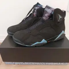 AIR JORDAN7　Retro　Chambray　NIKE
