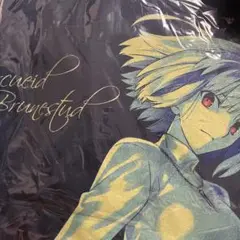 アルクェイド・ブリュンスタッド Tシャツ 月の記憶Ver 月姫　新品未使用　XL