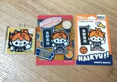 ハイキュー　メディコス　日向翔陽