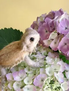 羊毛フェルト　フトアゴヒゲトカゲ　お目々パッチリ