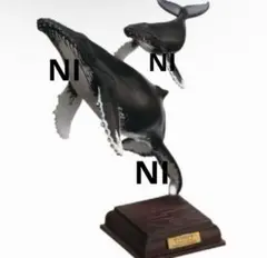 NTC 小笠原 特装版 ネイチャーテクニカラー ガチャ　ザトウクジラ　❷