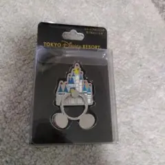 ディズニーです。