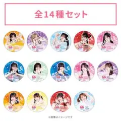 有吉ジャポンll ジロジロKAWAII夏祭り2025 缶バッジ　14種セット