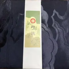 Item thumbnail for item b53fd60e-9d9c-4c7f-bccc-2da7a15f0124