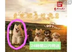 ☆まてぼうけ犬2　フィギュア　サモエド　ガチャガチャ　カプセルトイ☆