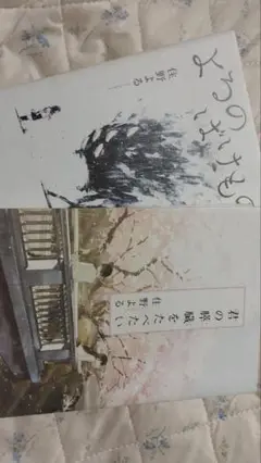 君の膵臓をたべたい よるのばけもの 住野よる 小説セット（別売り可）