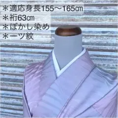 AK-155 ぼかし染 色無地小紋 正絹 広衿 袷 一ツ紋 着物