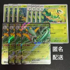 (匿名配送) ジャローダex RR と進化ライン 各4枚セット