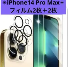 Item thumbnail for item 33648192-3831-45c9-af3e-faed116f75af