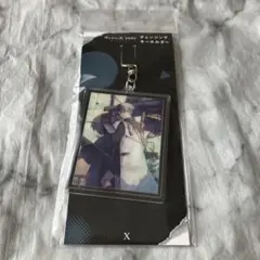 リバース:1999 チェンジングキーホルダー X キーホルダー