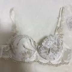 サルート　￼ブラジャー　￼ ￼ B6 5