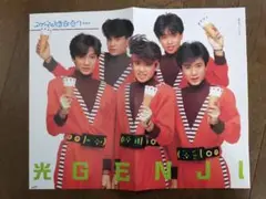 光GENJIピンナップ13