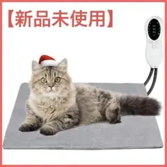 Item thumbnail for item a867c221-c520-4873-861e-21c9b4a27e45