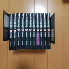 ジョジョの奇妙な冒険 ストーンオーシャン全巻