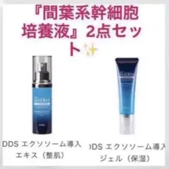 DDSエクソソーム 導入エキス 整肌 &導入ジェル 2点 定価:17,600円