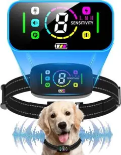 Item thumbnail for item ed5a63ee-7b05-40ed-ade2-caf5637f2f81