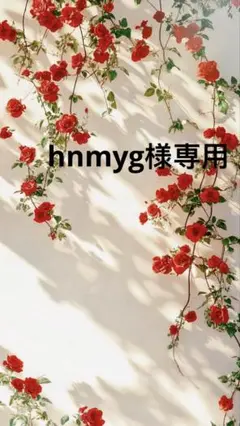 hnmyg様白36一枚