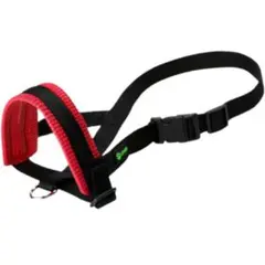 Item thumbnail for item b58774be-89dd-4c5f-a0d2-9fa46cedd41b