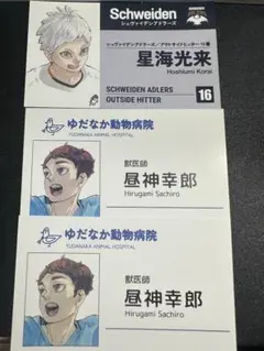 ハイキュー 昼神幸郎 星海光来　名刺カードコレクション ファンパーク
