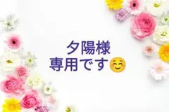 【美品・希少】プリーツプリーズ❤イッセイミヤケ オランダ 街並み カットソー