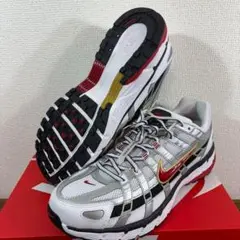 未使用ナイキP-6000 ウィメンズスニーカー29cm新品