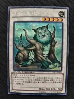 DTC ナチュル・ビースト シークレット シク クロニクル ターミナル
