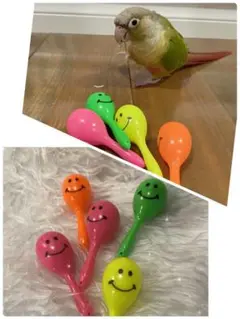 小動物用 カラフルマラカス