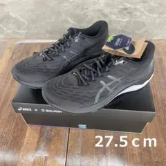 ASICS Solana GT-2000 コラボスニーカー アシックス　限定 ASICS x Solana
