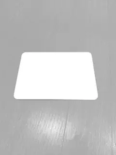 Apple Magic Trackpad (USB-C) - ホワイト