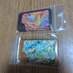 ポケモンフレンダ2枚セット